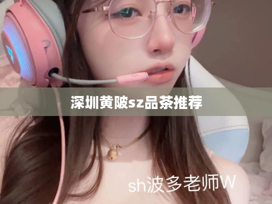 深圳黄陂sz品茶推荐