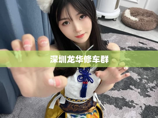 深圳龙华修车群