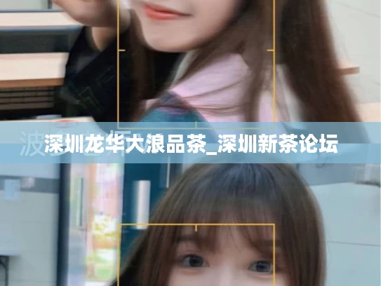 深圳龙华大浪品茶_深圳新茶论坛