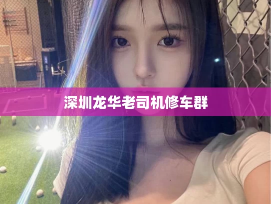 深圳龙华老司机修车群
