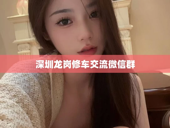 深圳龙岗修车交流微信群