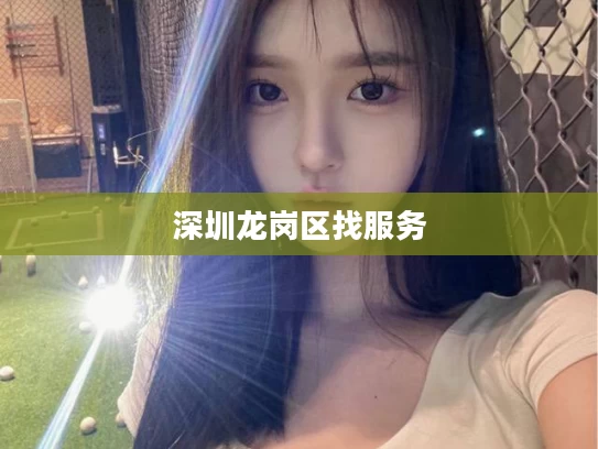 深圳龙岗区找服务