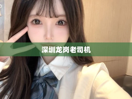 深圳龙岗老司机