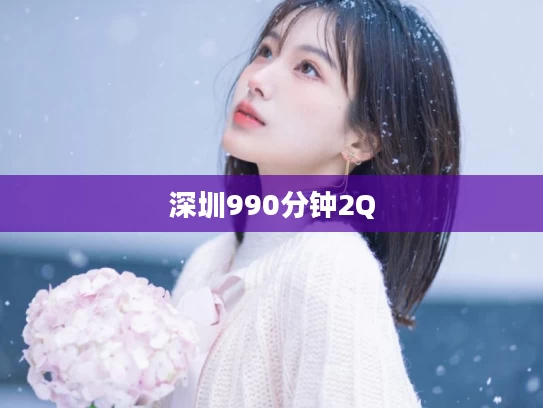 深圳990分钟2Q