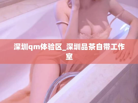 深圳qm体验区_深圳品茶自带工作室