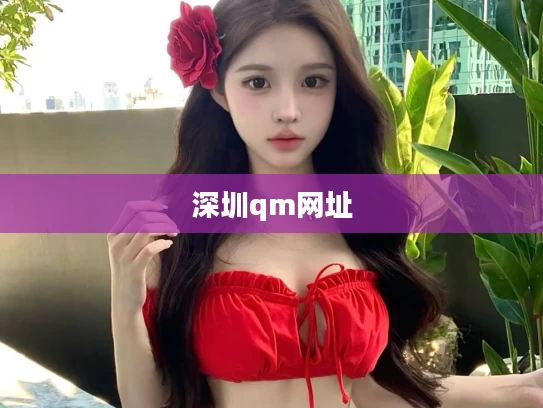 深圳qm网址