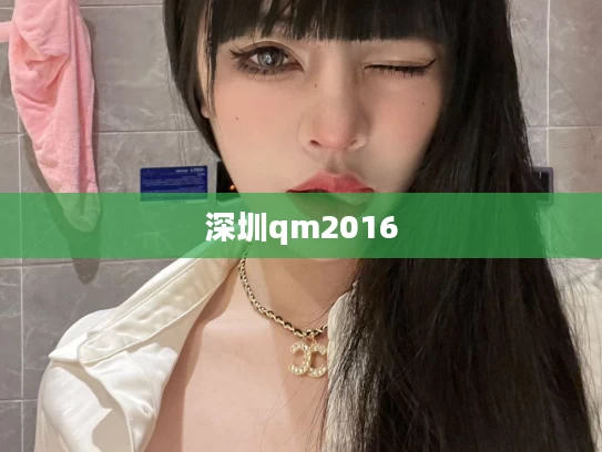 深圳qm2016