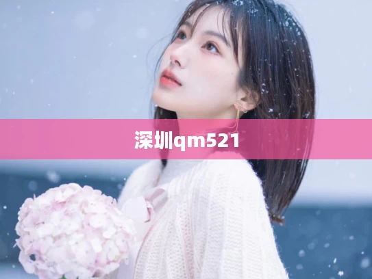 深圳qm521