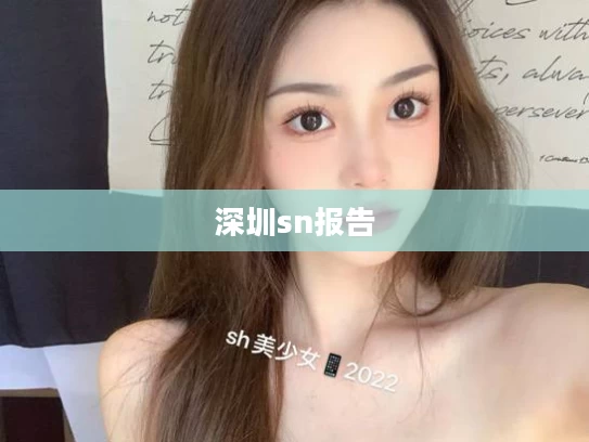 深圳sn报告
