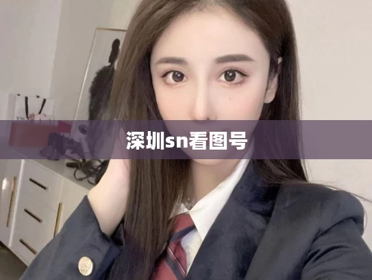 深圳sn看图号