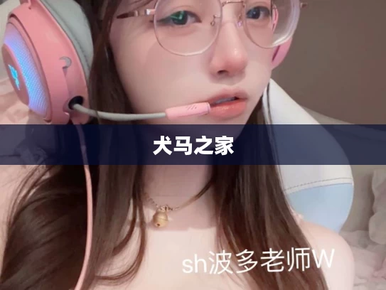 犬马之家