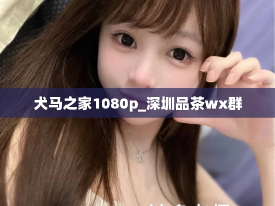 犬马之家1080p_深圳品茶wx群