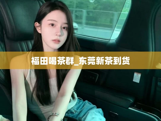 福田喝茶群_东莞新茶到货