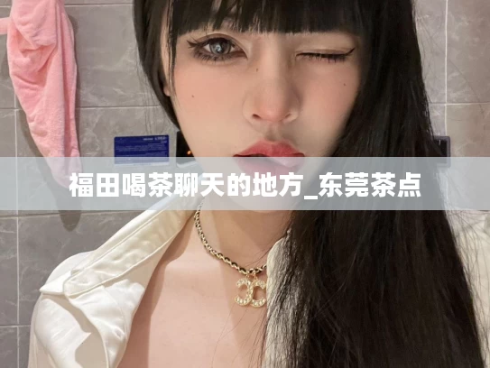 福田喝茶聊天的地方_东莞茶点