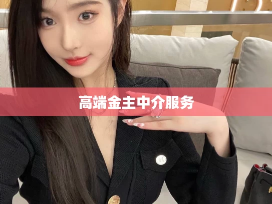 高端金主中介服务