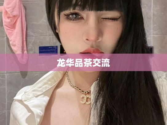 龙华品茶交流
