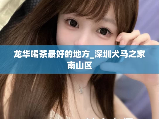 龙华喝茶最好的地方_深圳犬马之家南山区