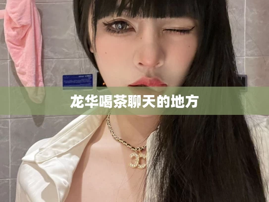 龙华喝茶聊天的地方