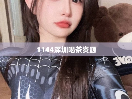 1144深圳喝茶资源