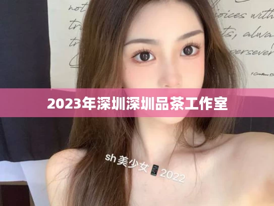 2023年深圳深圳品茶工作室