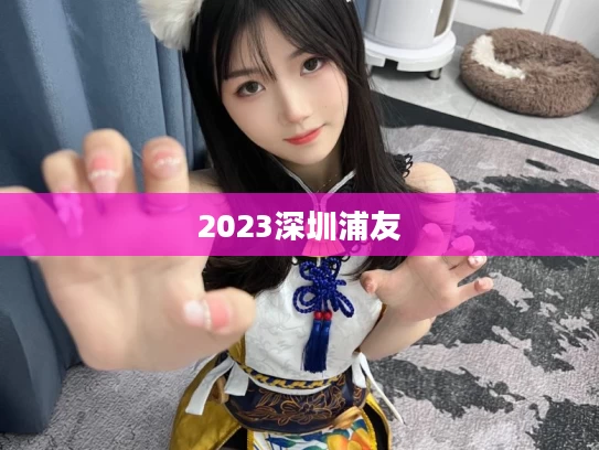 2023深圳浦友