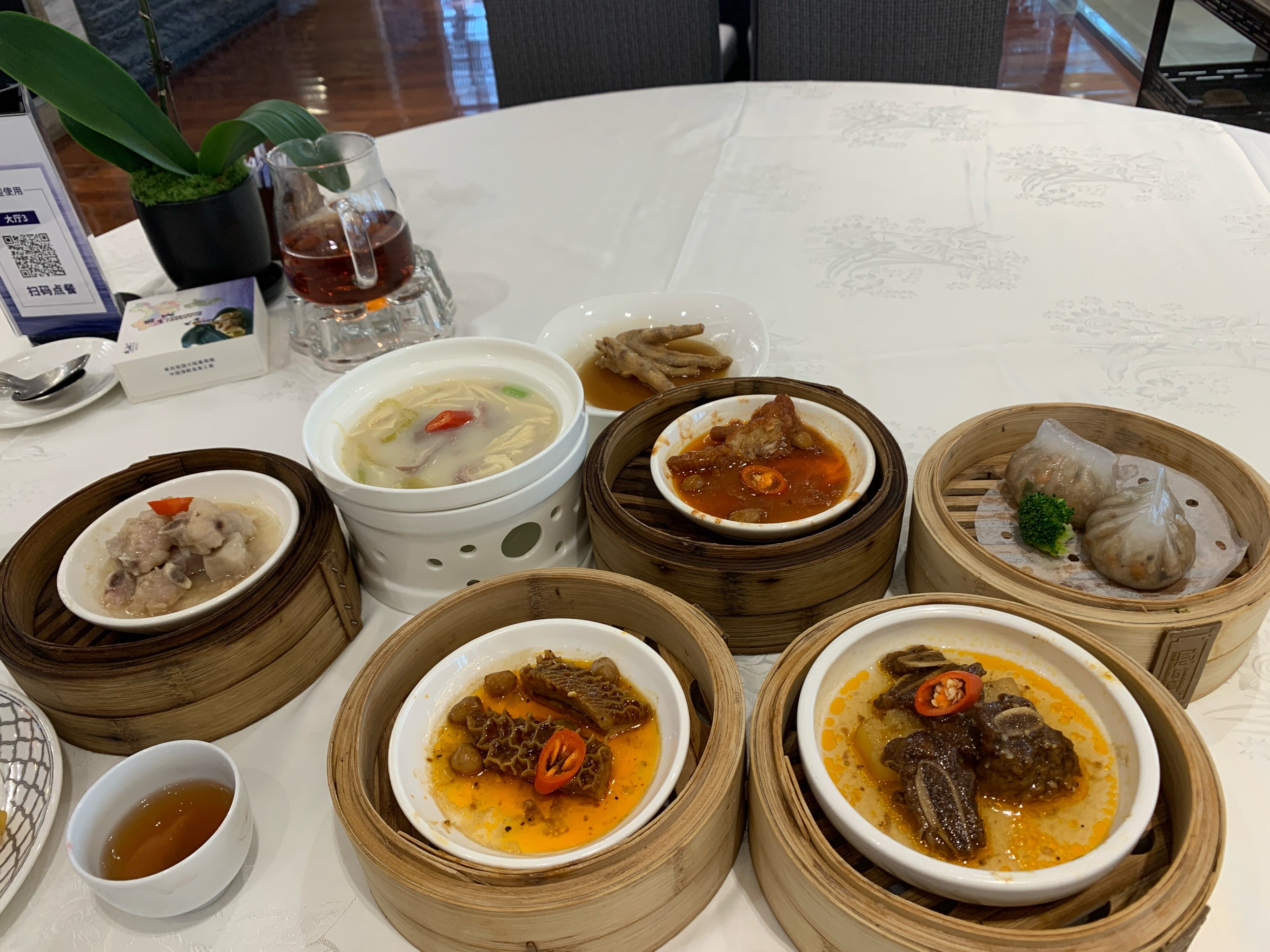 深圳品茶安排