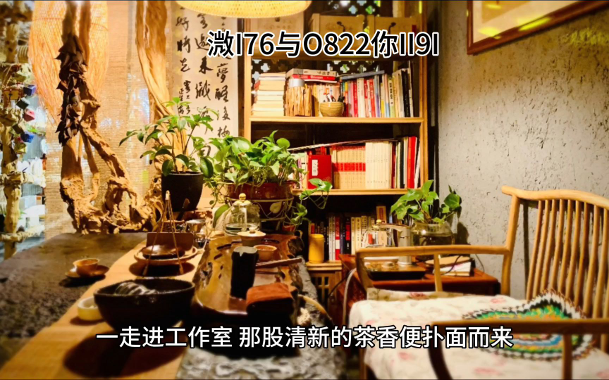 昆明海选品茶工作室预约