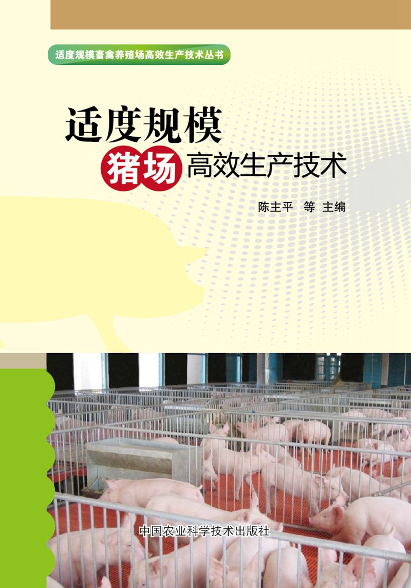 深圳98?95场_犬马之家验证