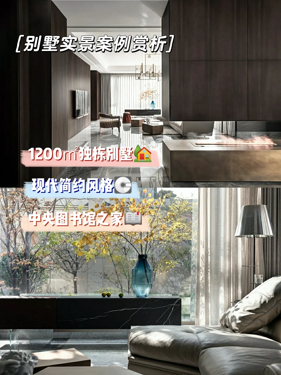 深圳喝茶资源_深圳qm收录犬马之家