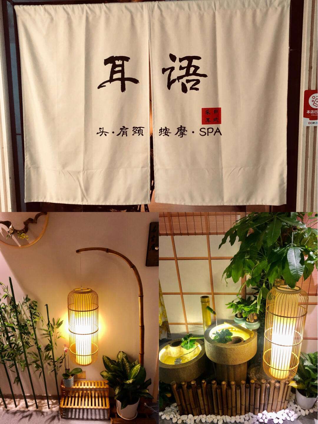 深圳犬马之家电脑版_深圳品茶