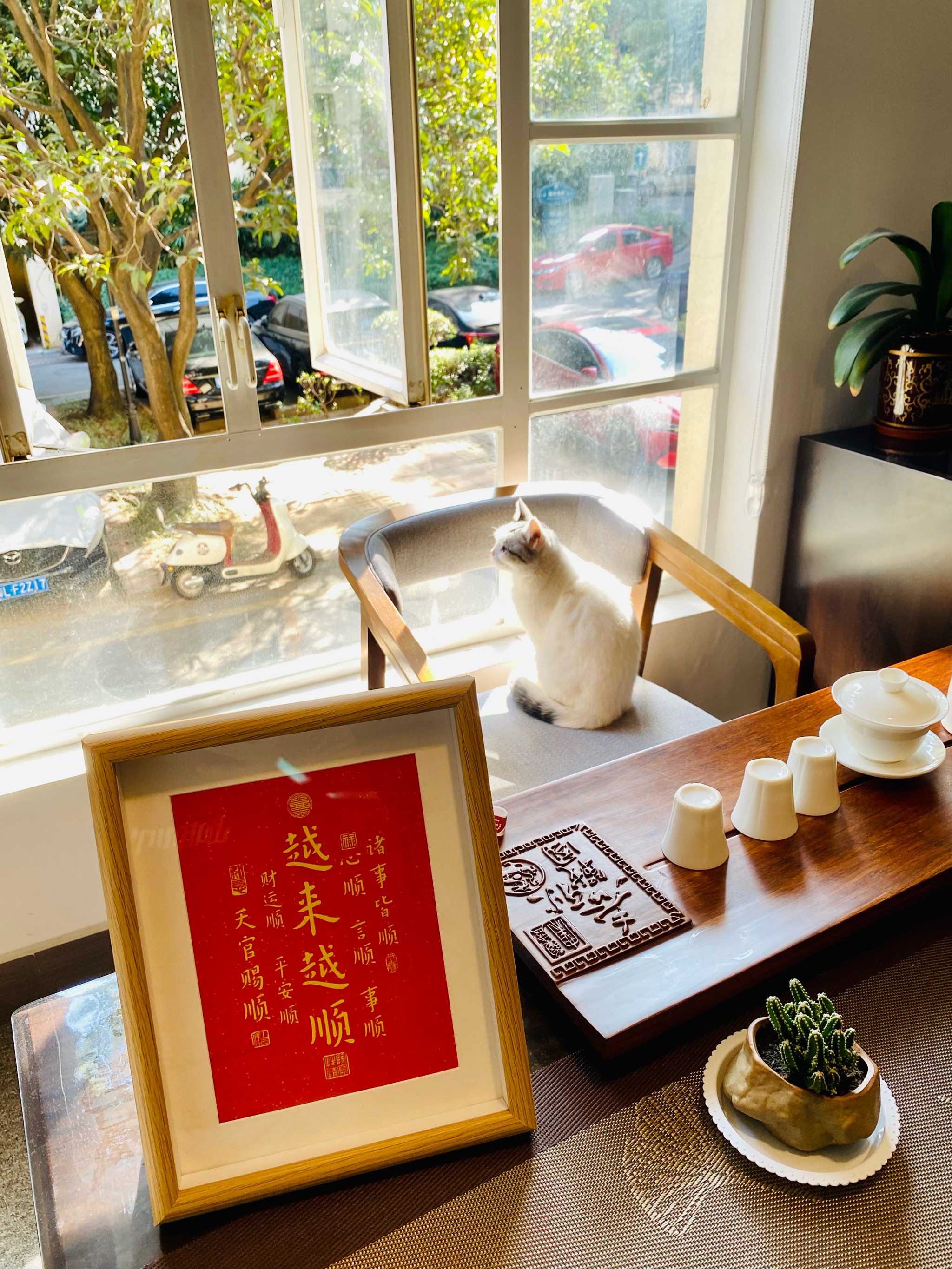 深圳喝茶资源群