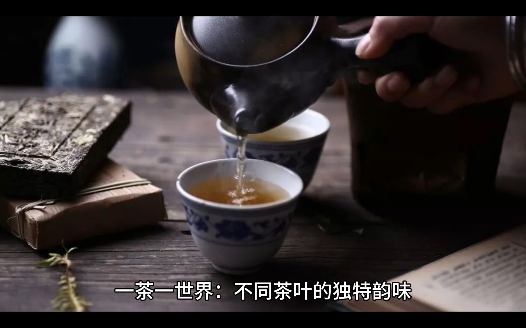 深圳51品茶最新